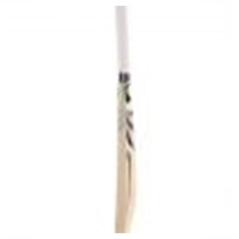 Verto Premium Kashmir Willow Cricket Bat - SG